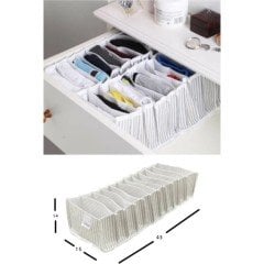 Akordiyon Organizer M