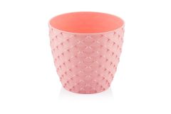 Orkide Kapadokya Saksı