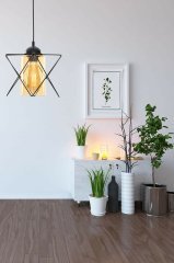 Modes Tekli Siyah Camlı