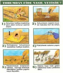 Karışık Renkli Şeker Tabağı 4 gr
