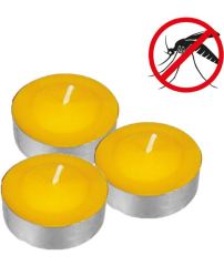 Tea Light 15li Citronella