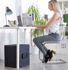 Yüksek Güvenlikli Ev Tipi Parmak İzli Kasa