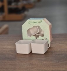 Kaktüs Saksı 4lü