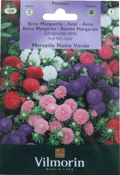 Yalınkat İpek Çiçeği 0,7 gr