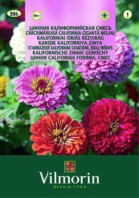 Kirli Hanım Çiçeği 2 gr