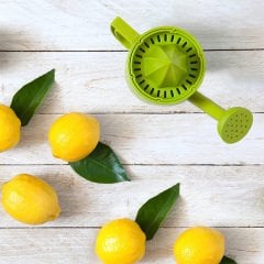Bahçıvan Limonluk