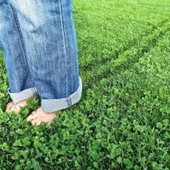 Kolay Bakım Çim Yonca Karışımı 1 Kg.