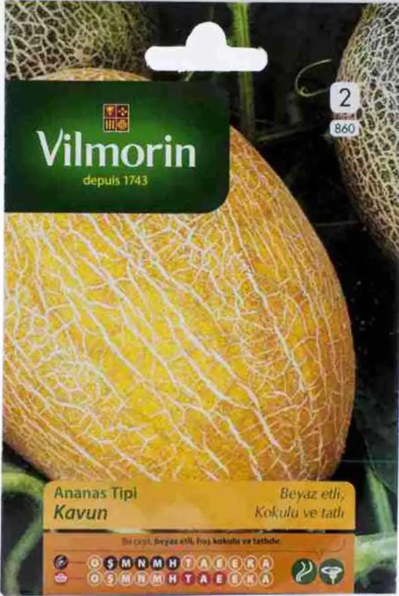 Ananas Tipi Kavun 2 gr