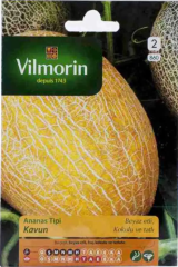 Ananas Tipi Kavun 2 gr