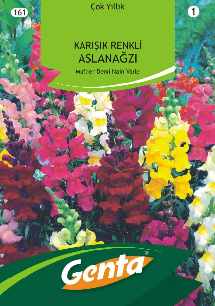 Karışık Renkli Aslanağzı
