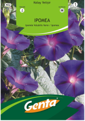 Kahkaha Ipomea Çiçeği