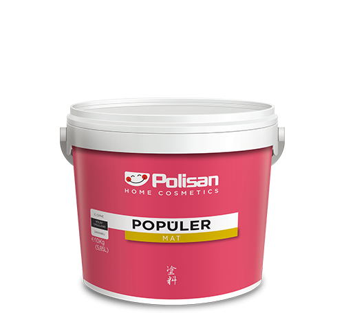 Populer Plastik Boya 10kg