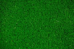 Düz Dokuma 7mm Çim Halı