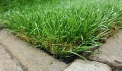 Düz ve Kalın Dokuma Çim Halı 11mm(Yeşil) 1*1 MT