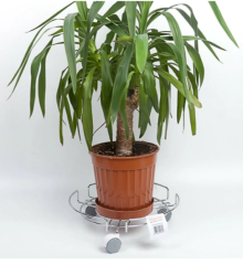 Tekerlekli Stand (Tüp Çek)