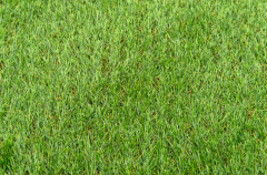 Düz Dokuma Çim Halı 40mm