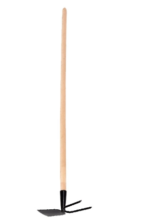 ÇATAL ÇAPA