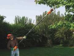 Elektrikli Dal Budama 800W 25CM