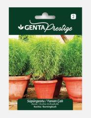 Süpürgeotu / Yanan Çalı 0,5 gr