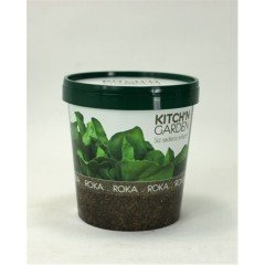 Kıtch ın Garden-Roka